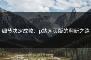细节决定成败：p站网页版的翻新之路