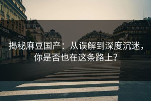 揭秘麻豆国产：从误解到深度沉迷，你是否也在这条路上？