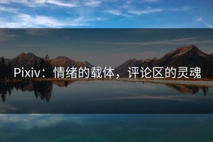 Pixiv：情绪的载体，评论区的灵魂