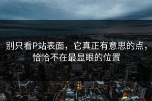 别只看P站表面，它真正有意思的点，恰恰不在最显眼的位置