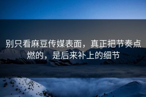 别只看麻豆传媒表面，真正把节奏点燃的，是后来补上的细节