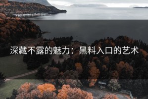 深藏不露的魅力：黑料入口的艺术