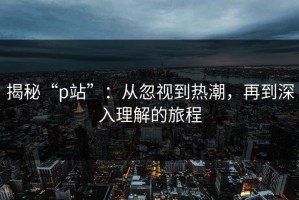 揭秘“p站”：从忽视到热潮，再到深入理解的旅程