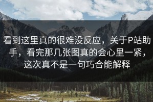 看到这里真的很难没反应，关于P站助手，看完那几张图真的会心里一紧，这次真不是一句巧合能解释