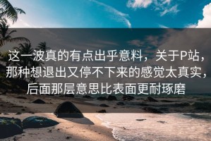 这一波真的有点出乎意料，关于P站，那种想退出又停不下来的感觉太真实，后面那层意思比表面更耐琢磨