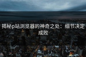 揭秘p站浏览器的神奇之处：细节决定成败