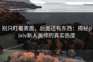 别只盯着表面，后面还有东西：揭秘pixiv新人画师的真实热度