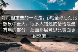 冷门但重要的一点是，p站全称后劲比想象中更大，很多人错过的恰恰是最有用的部分，后面那层意思比表面更耐琢磨