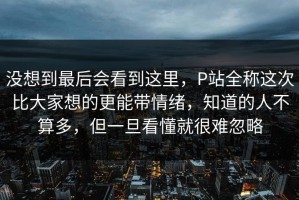 没想到最后会看到这里，P站全称这次比大家想的更能带情绪，知道的人不算多，但一旦看懂就很难忽略