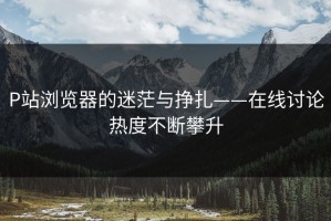 P站浏览器的迷茫与挣扎——在线讨论热度不断攀升