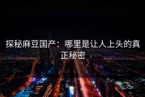 探秘麻豆国产：哪里是让人上头的真正秘密