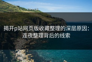 揭开p站网页版收藏整理的深层原因：连夜整理背后的线索
