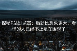 探秘P站浏览器：后劲比想象更大，看懂的人已经不止是在围观了