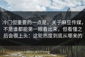 冷门但重要的一点是，关于麻豆传媒，不是谁都能第一眼看出来，但看懂之后会很上头：这轮热度到底从哪来的