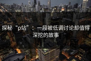 探秘“p站”：一段被低调讨论却值得深挖的故事