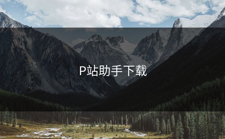 P站助手下载