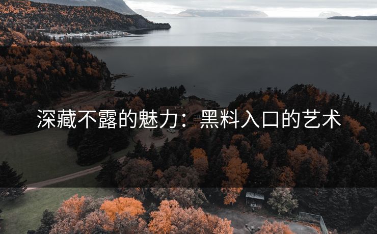 深藏不露的魅力：黑料入口的艺术