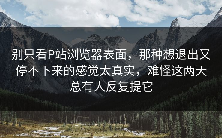 别只看P站浏览器表面，那种想退出又停不下来的感觉太真实，难怪这两天总有人反复提它