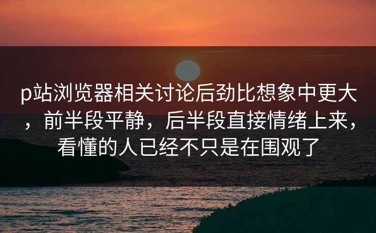 p站浏览器相关讨论后劲比想象中更大，前半段平静，后半段直接情绪上来，看懂的人已经不只是在围观了