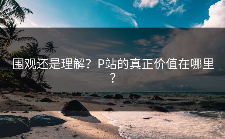 围观还是理解?P站的真正价值在哪里? 围观还是理解?P站的真正价值在哪里?