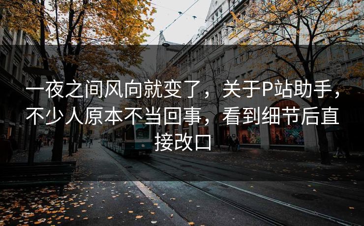 一夜之间风向就变了，关于P站助手，不少人原本不当回事，看到细节后直接改口