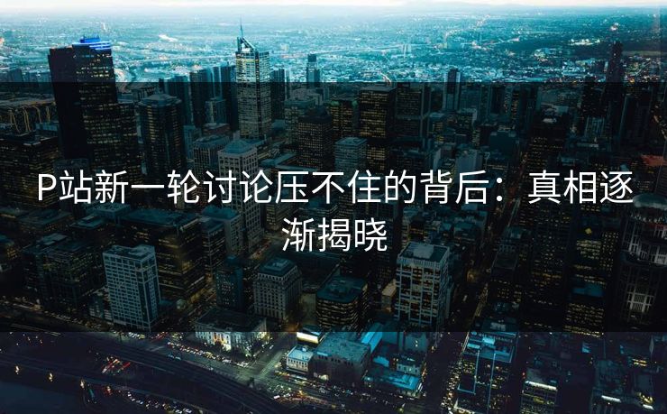 P站新一轮讨论压不住的背后：真相逐渐揭晓