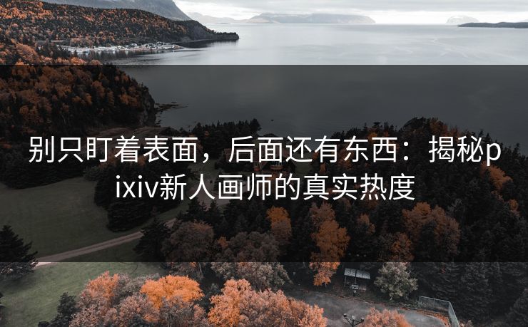 别只盯着表面，后面还有东西：揭秘pixiv新人画师的真实热度