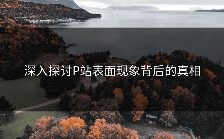 深入探讨P站表面现象背后的真相 深入探讨P站表面现象背后的真相