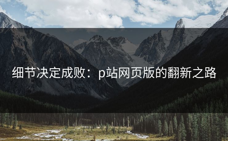 细节决定成败：p站网页版的翻新之路