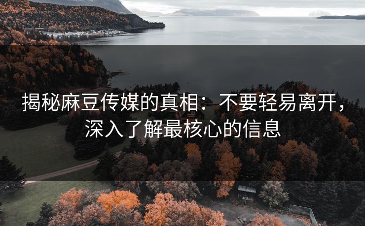 揭秘麻豆传媒的真相：不要轻易离开，深入了解最核心的信息