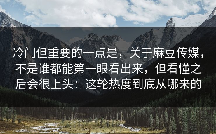 冷门但重要的一点是，关于麻豆传媒，不是谁都能第一眼看出来，但看懂之后会很上头：这轮热度到底从哪来的
