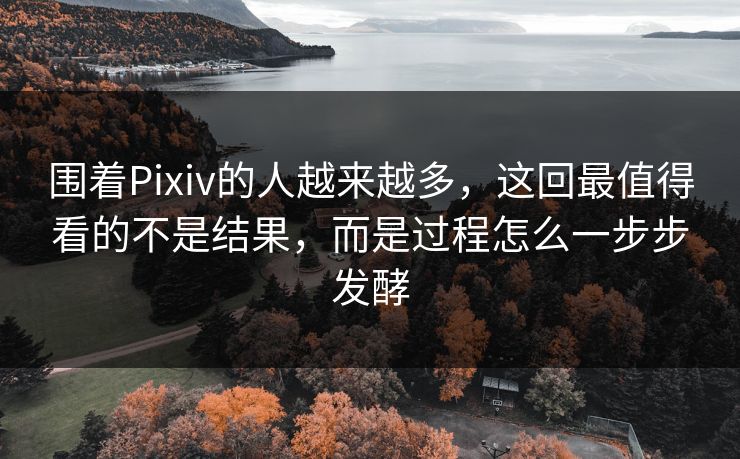 围着Pixiv的人越来越多，这回最值得看的不是结果，而是过程怎么一步步发酵