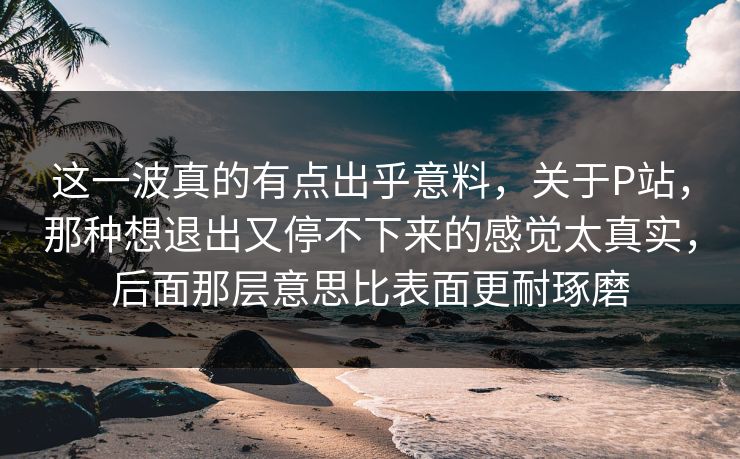 这一波真的有点出乎意料，关于P站，那种想退出又停不下来的感觉太真实，后面那层意思比表面更耐琢磨