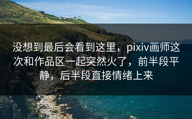 没想到最后会看到这里，pixiv画师这次和作品区一起突然火了，前半段平静，后半段直接情绪上来