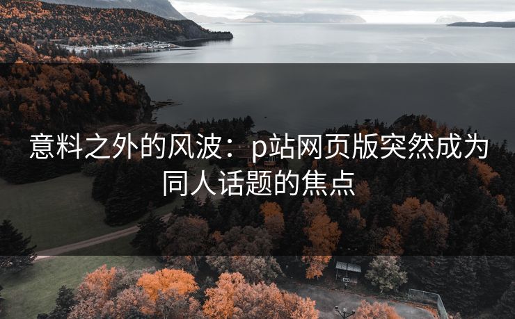 意料之外的风波：p站网页版突然成为同人话题的焦点