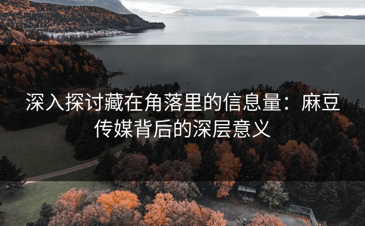 深入探讨藏在角落里的信息量：麻豆传媒背后的深层意义